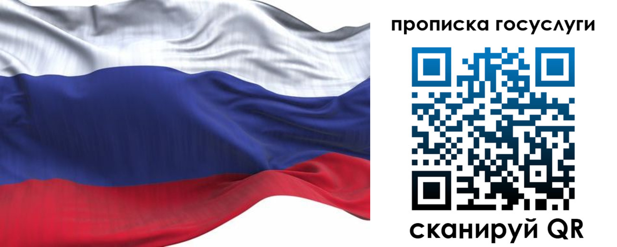 прописка для школы в Электрогорске